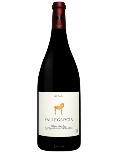 Vallegarcía Syrah