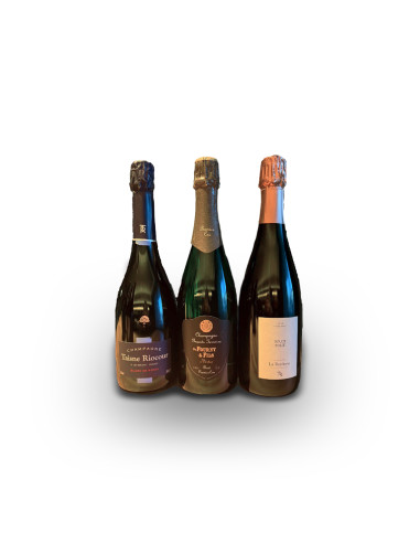 Campanha - Pack 3 Champagne